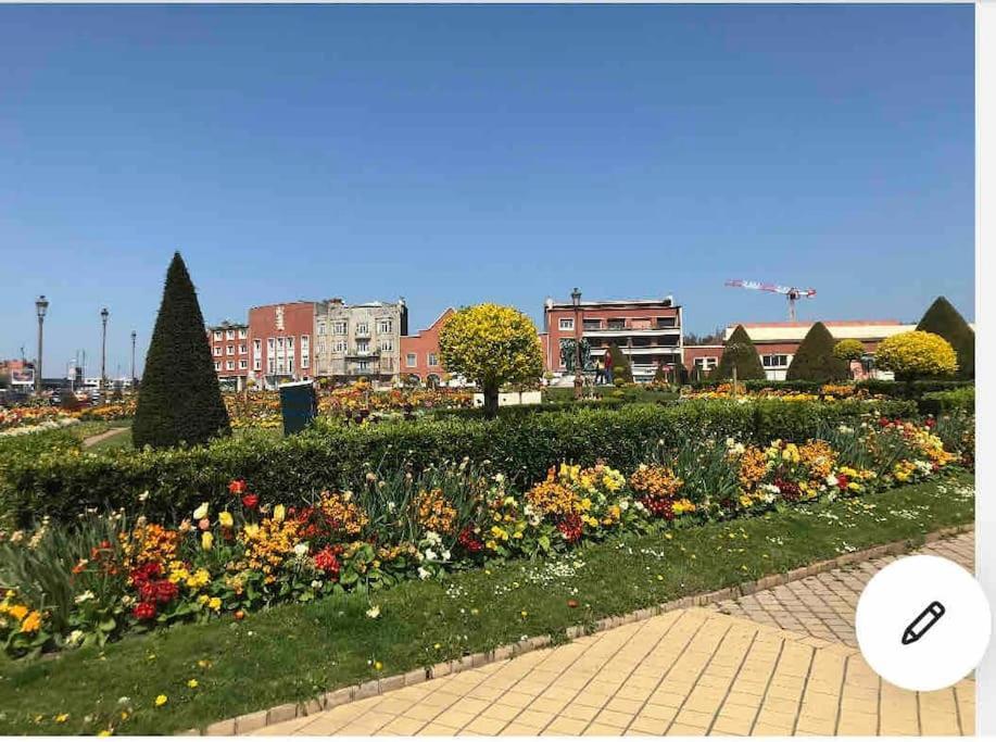 Casa Inca Calais - Duplex Soleil Latino - Parking Free, Station Apartment Ngoại thất bức ảnh